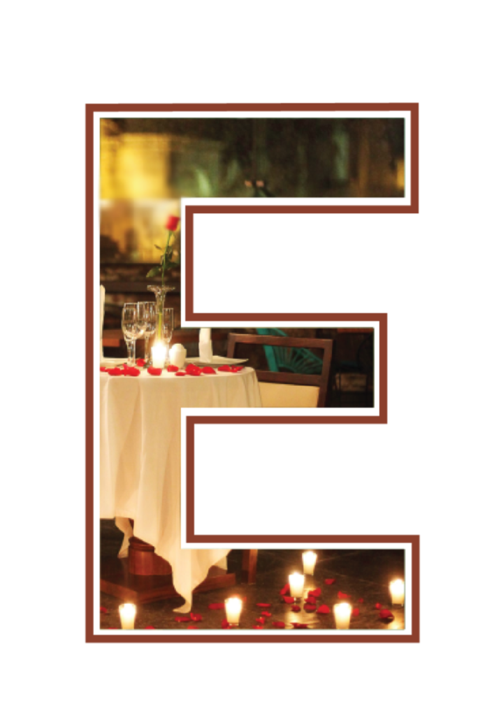 Brown E go real logo-03 4