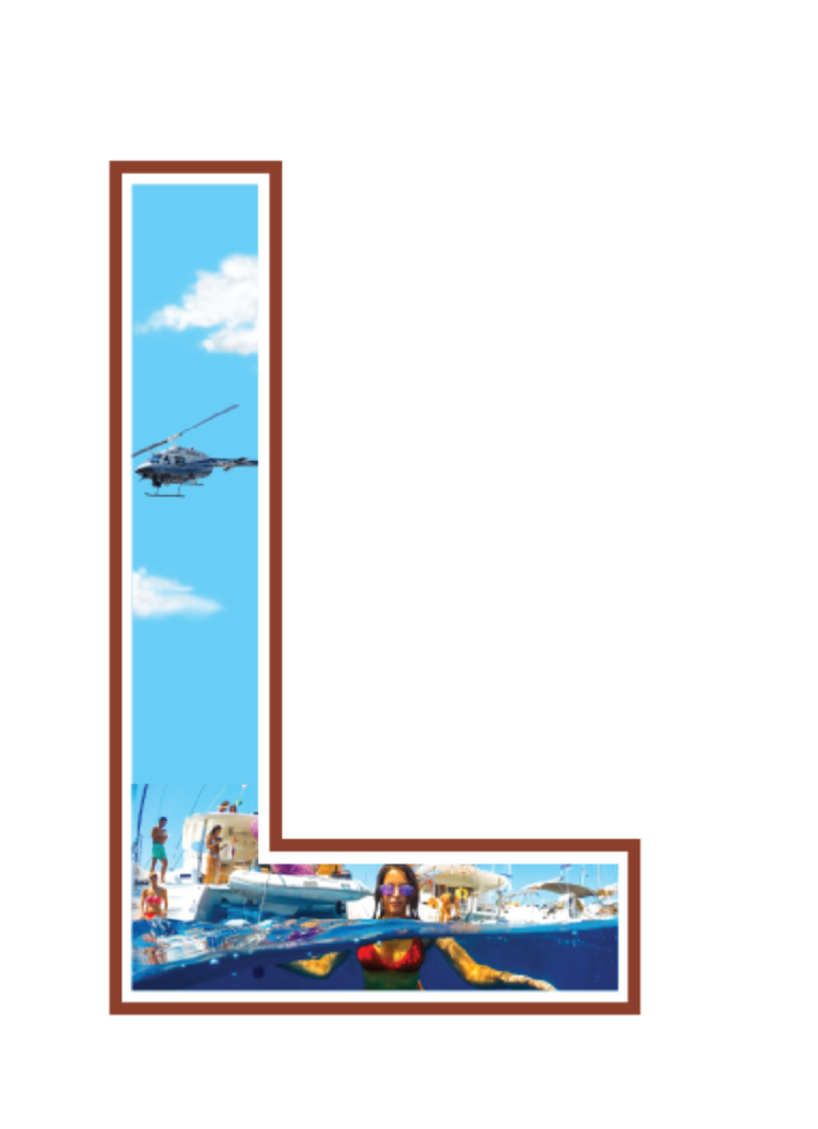 brown L go real logo-03 6