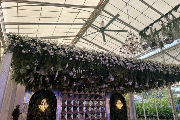 a45c4208aa87256904358243ec353ed1095f1097